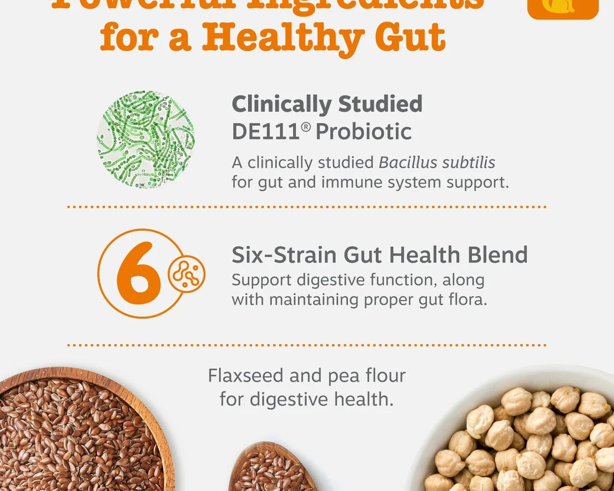 Delicious Pumpkin Flavor Probiotic Bites for Dogs - 3 Pack, 60 Count