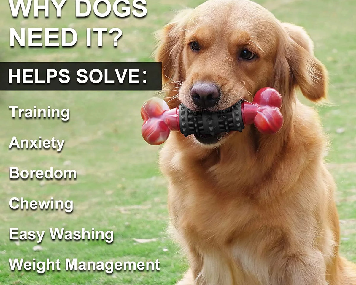 Indestructible Dog Toy for Aggressive Chewers - Interactive Bone Toy for Medium to Large Dogs by Dinosam