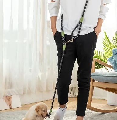 Amazon Best-Selling Reflective Nylon Dog Leash - My Pet Collective Amazon Best-Selling Reflective Nylon Dog Leash