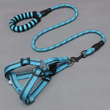 Dog Leash and Chest Harness for Pet Supplies - My Pet Collective Dog Leash and Chest Harness for Pet Supplies