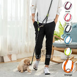 Amazon Best-Selling Reflective Nylon Dog Leash - My Pet Collective Amazon Best-Selling Reflective Nylon Dog Leash