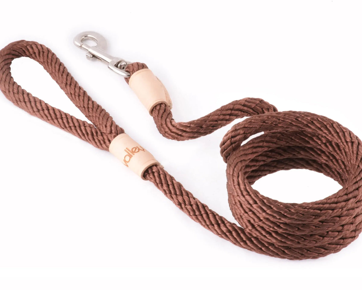 Alvalley™ Handcrafted Braided Leather Dog Leash - My Pet Collective Alvalley™ Handcrafted Braided Leather Dog Leash