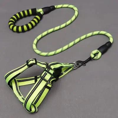 Dog Leash and Chest Harness for Pet Supplies - My Pet Collective Dog Leash and Chest Harness for Pet Supplies