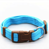 VivaNylon Adjustable Dog Collar - My Pet Collective