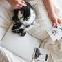 person holding photographs