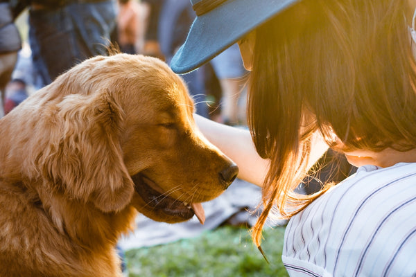 closeup photography of woman holding adult golden retriever