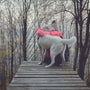 person hugging dog on bridge