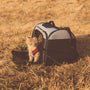 gray cat in pet carrier