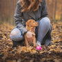 person holding puppy