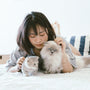 woman lying beside two kittens