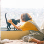 woman playing with cat