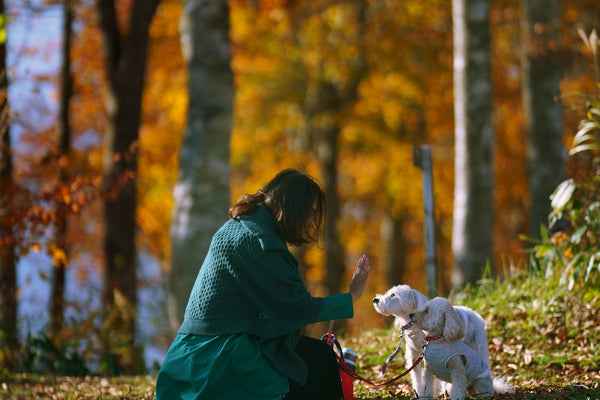 woman holding dogs