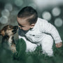 toddler boy leaning towards a puppy