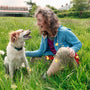 woman sitting beside sitting dog on grass during day