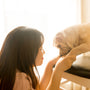 woman kissing brown short coated dog