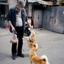 man in gray dress shirt and black pants holding brown short coated dog