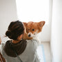 woman in gray hoodie kissing brown and white dog