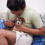 man in green crew neck t-shirt holding brown and white puppy