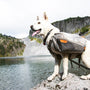 white short coated dog with black and gray harness on gray rock near body of water