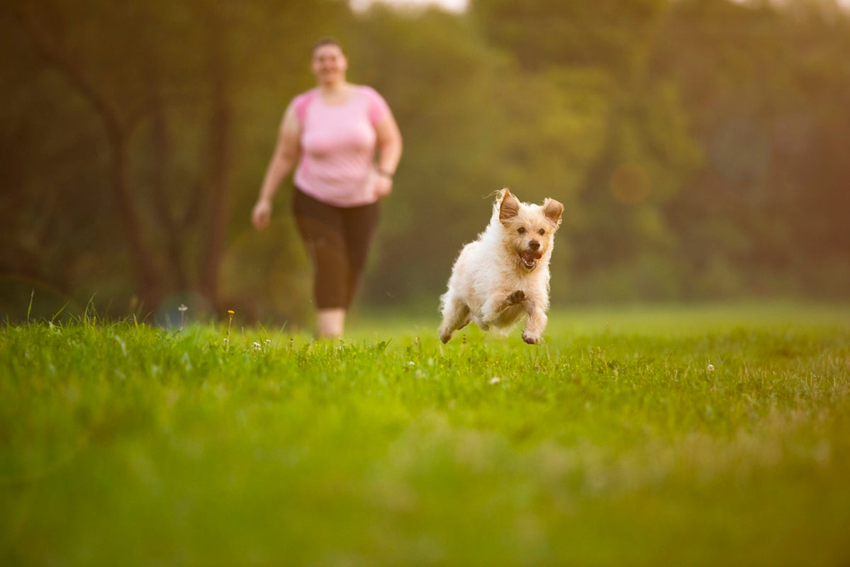 woman in pink shirt and pink shorts running on green grass field during daytime