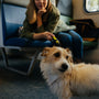 man in green jacket sitting on blue chair with white and brown dog