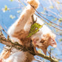 orange tabby cat on brown tree branch during daytime
