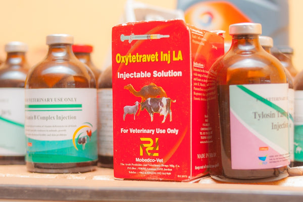 several bottles of vitamin supplements on a shelf