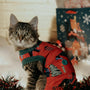 brown tabby cat in red and white santa claus costume