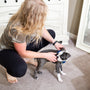 woman in black tank top holding black and white short coat small dog