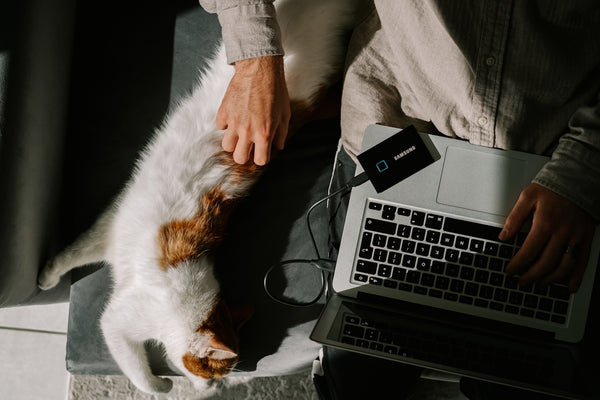 person in gray long sleeve shirt holding white and orange cat