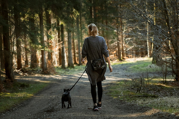 woman in black jacket walking with black labrador retriever on pathway during daytime
