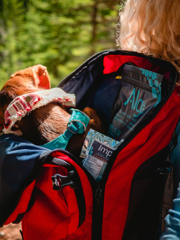 woman in red and black jacket carrying baby in blue jacket