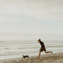 man in black shorts walking on beach with dog during daytime