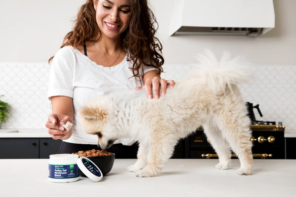 woman in white long sleeve shirt holding blue and white ceramic mug
