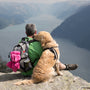 a man sitting on a rock with a dog on his back