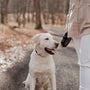 a white dog sitting on a road next to a woman
