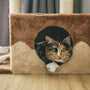 a cat sitting in a cat house on the floor