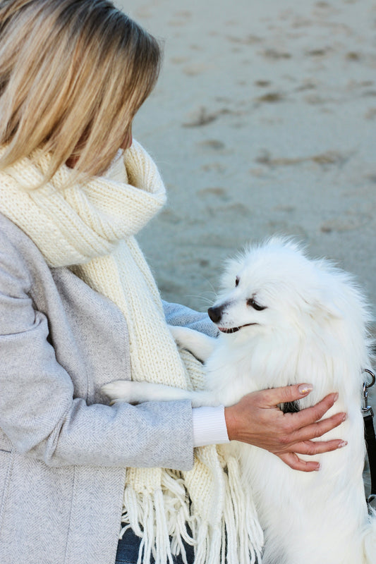 a woman holding a white dog on a beach