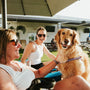 a woman sitting in a chair with a dog