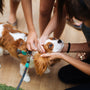 a woman petting a dog