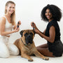 a couple of women and a dog