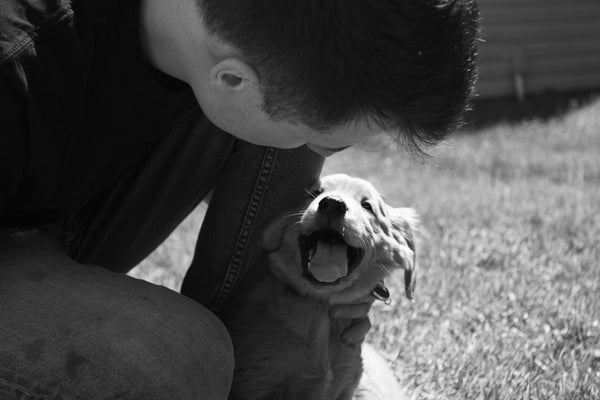 a person kissing a dog