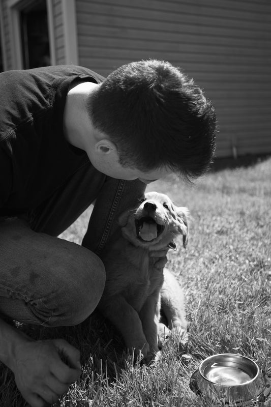 a person kissing a dog