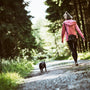 a person walking a dog on a trail in the woods