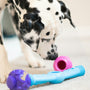 a dog with a toy