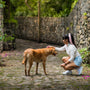 a person kneeling down next to a dog