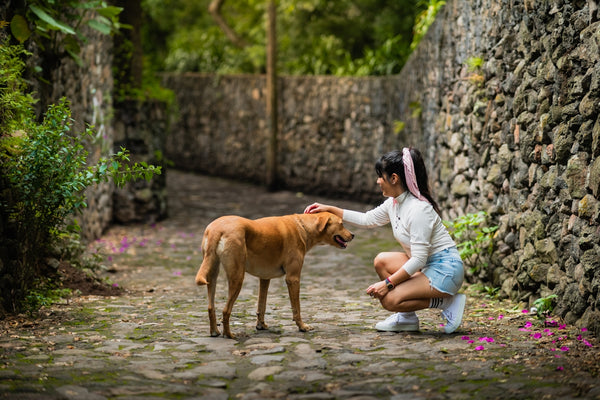 a person kneeling down next to a dog