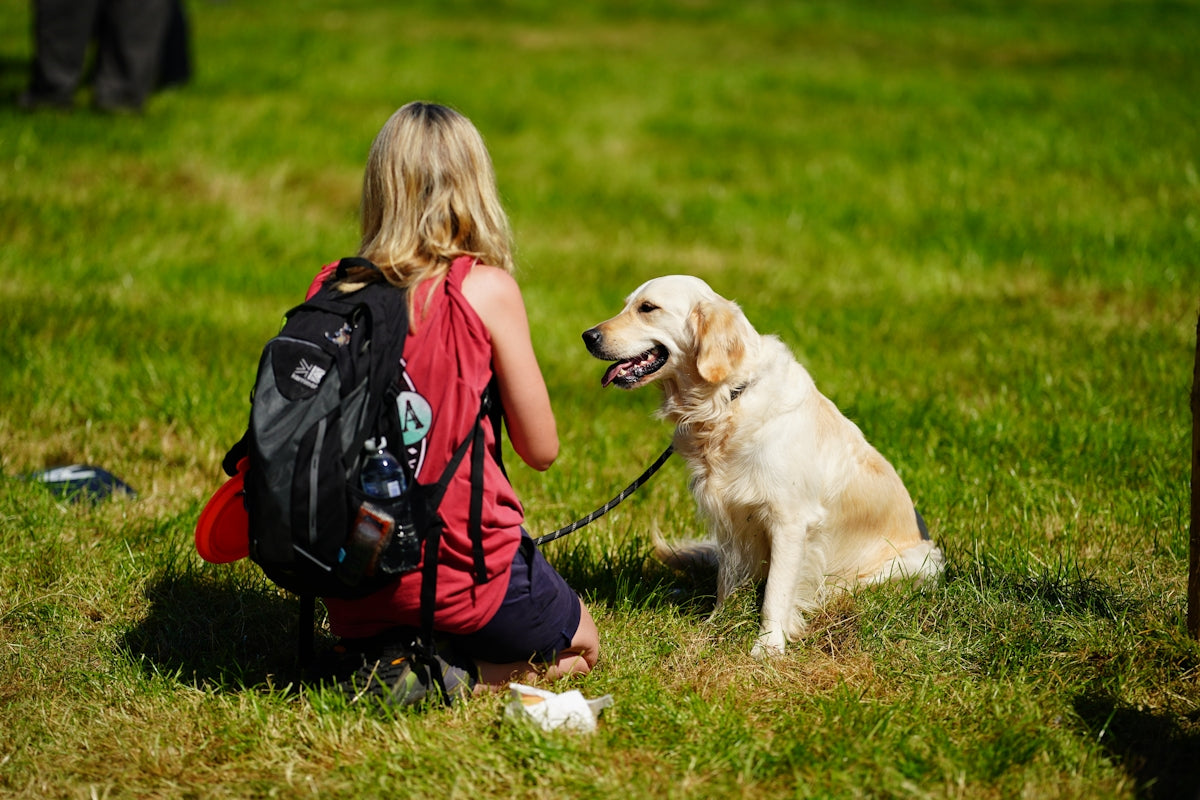 a person with a dog
