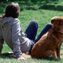 a person and a dog sitting on grass