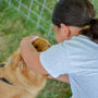 a person holds a dog